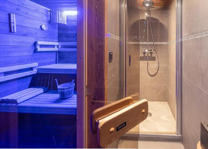 Dormeur - - Bo Immobilier- Chatel- Reduced Prices On Passes & Portes Du Soleil 沙泰勒